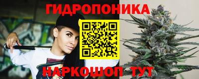 молекула духа Ливны